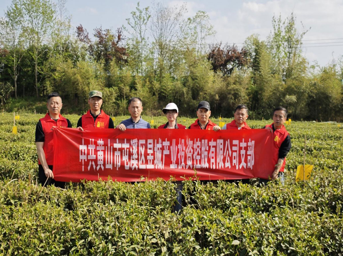 昱城產(chǎn)投公司黨支部開(kāi)展“茶香潤(rùn)初心，黨旗映茶園”主題黨日活動(dòng)
